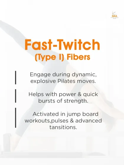 Fast-twitch muscle fibers are for quick, powerful bursts of strength. We engage these during dynamic Pilates moves like jump board workouts and advanced transitions.