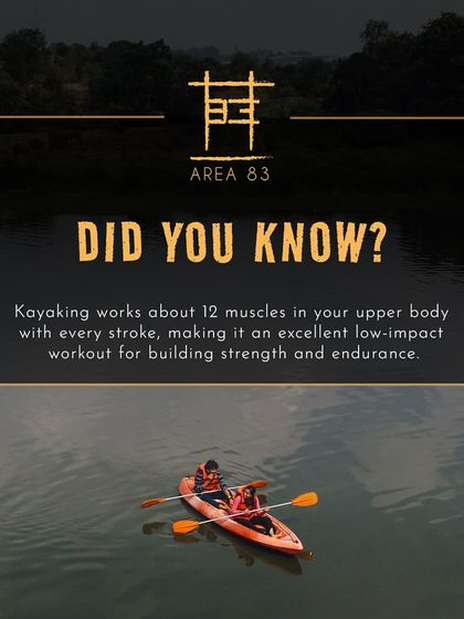 Did you know kayaking works about 12 muscles in your upper body with every stroke? You can thank me later.