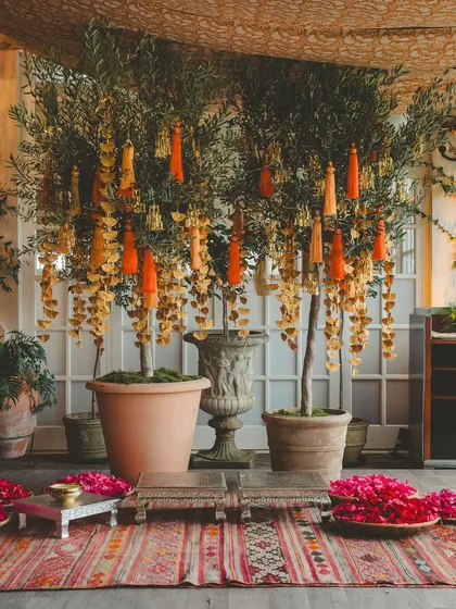 A traditional Haldi setup with olive trees decorated with tassels, blending Indian elements with a Mediterranean feel in the UK.