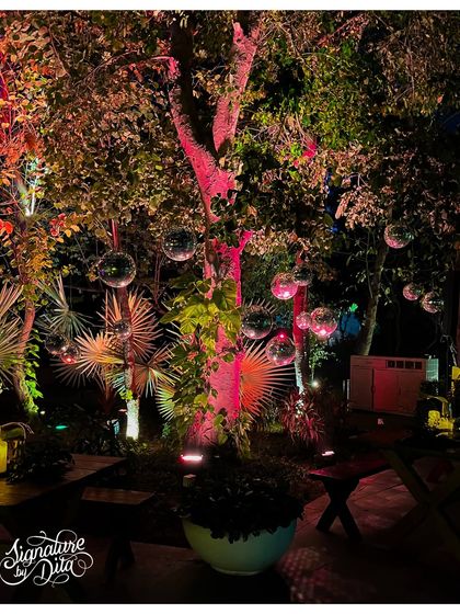 I hung dozens of disco balls from the tree branches and used colored lights to make them sparkle, creating a magical, dancing light effect throughout the garden.