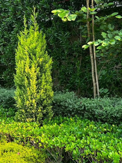 Lush Farmhouse & Villa Landscapes photo 61