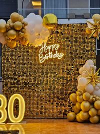 Birthday Party Decorations