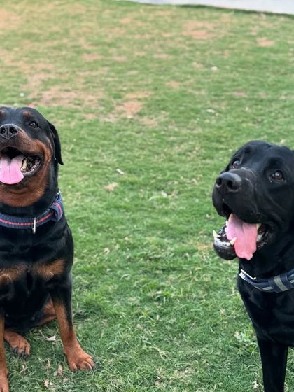 You can't help but smile when you see these two happy faces.