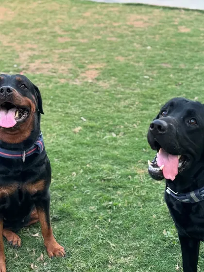 You can't help but smile when you see these two happy faces.