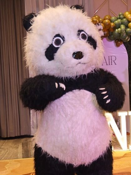 Jungle & Safari Adventures photo 15