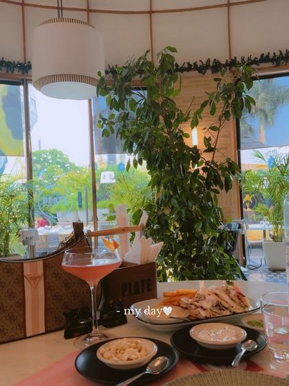 A shot of my meal with a glass of wine at Plate, capturing the perfect daytime dining aesthetic.