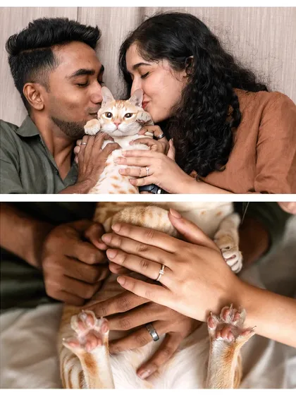 A collage of love and paws. The top photo shows the couple kissing their cat, Toffee, while the bottom features a creative shot of their hands and his paws together.