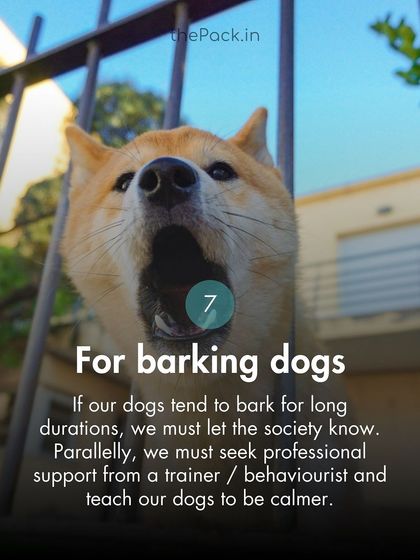 The Pack - Online Pet Parent Community A Voice for Every Dog photo 40