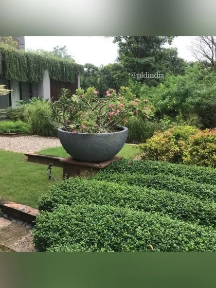 Ground-Level Gardens & Courtyards photo 5