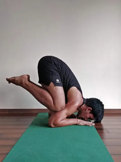 A student works on the tuck position for Pincha Mayurasana. This photo captures a key moment of progress, building the core strength and control needed to lift into the full pose.