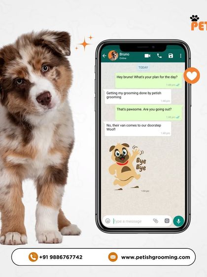 Petish Grooming - Mobile Grooming for Dogs & Cats A Day in the Life at Petish photo 5