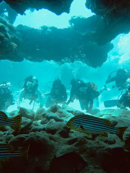 Our divers exploring a swim-through in Lakshadweep, with sweetlips fish greeting them at the entrance.