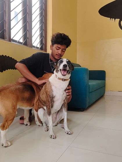 A happy tail wag is the best thank you we can get.