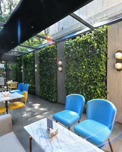 Vertical Garden & Living Wall Installation