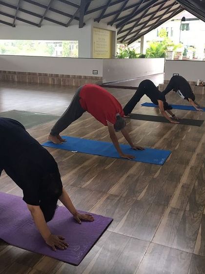 A different angle of the Downward-Facing Dog practice, showing the alignment and form of the participants as they engage in this rejuvenating pose.