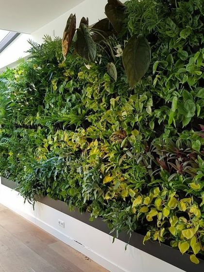 Vertical Garden Setup - Landscape Design & Execution Branded & Interior Green Walls photo 7