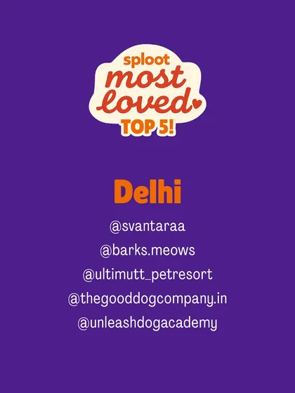 Here are the Top 5 'Sploot Most Loved' boarding centers for Delhi NCR. We are proud to feature these community-approved homes that provide exceptional care and peace of mind.
