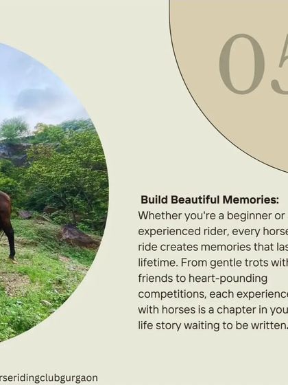 Aravali Forest Adventures photo 9