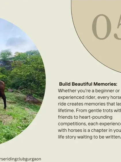 Whether you are a beginner or an expert, every ride creates lasting memories. We focus on building beautiful experiences, from gentle trots with friends to exciting explorations.