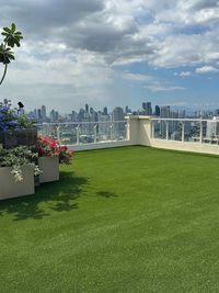 Artificial Green Grass