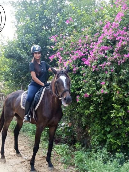 Additional Media photo 7