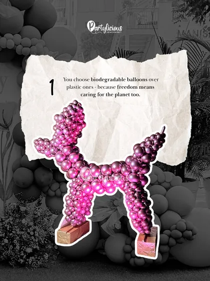 The number one sign of an eco-conscious partygoer: you choose biodegradable balloons over plastic ones. This image highlights our commitment to using materials that are kinder to the Earth.