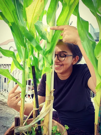 I was so excited to see the first silks on my container-grown corn. This proves that you can experiment with all sorts of vegetables in your terrace garden.