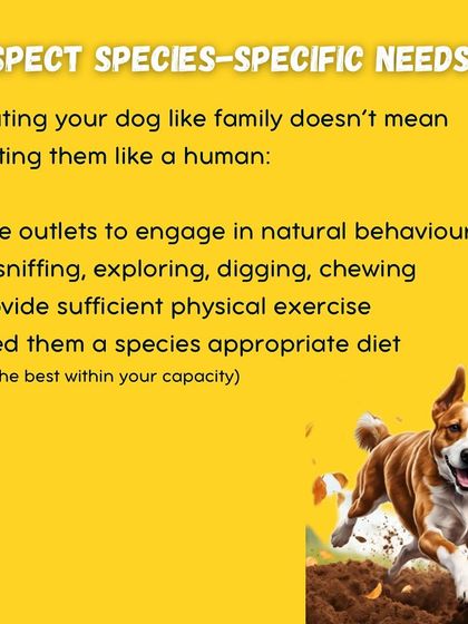 Garima Tomar - Board and Train Programs My Training Philosophy photo 3