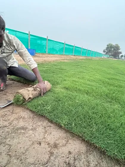 A worker carefully cuts and lifts a section of turf. This precision ensures the grass roll is of a consistent thickness and quality.