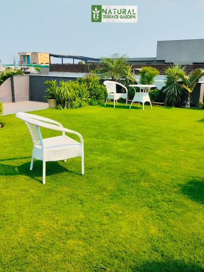 Complete Rooftop & Terrace Makeovers photo 84