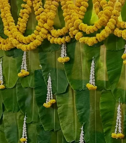 A detail shot of the marigold and jasmine flower hangings against the fresh green banana leaf wall, a classic combination for auspicious occasions.