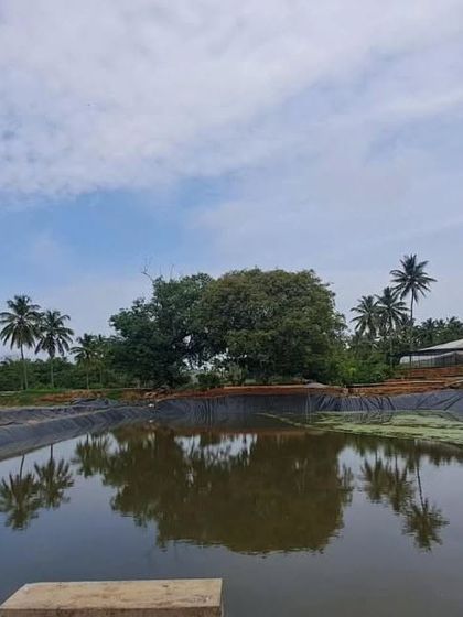 Our rainwater harvesting pond reflecting the sky. This is a key part of our commitment to the environment, ensuring we nurture nature as it nurtures us.