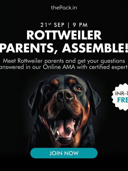 Garima Tomar - Dog Training & Behavior Consultation Online Workshops & Consultations photo 5