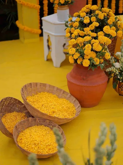 Baskets of fresh marigold petals ready for the Haldi celebration. The vibrant yellow carpet and terracotta pots complete the traditional and festive look.