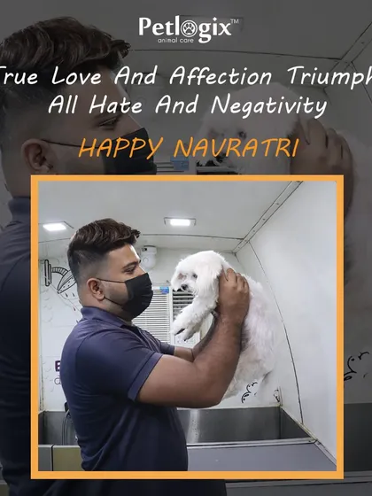 True love and affection triumph over all. We believe in treating every pet with kindness, as shown by our groomer's gentle hold. Happy Navratri.