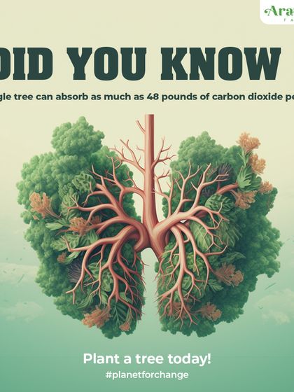 Did you know a single tree can absorb as much as 48 pounds of carbon dioxide per year? Planting trees is a core part of my development strategy, helping to build a healthier planet.