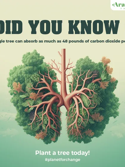 Did you know a single tree can absorb as much as 48 pounds of carbon dioxide per year? The trees on our farms act as the lungs of our planet. We encourage everyone to plant a tree and make a positive impact.