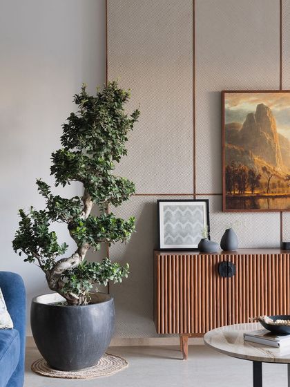 Studio 8 Designs - Residential Interior Design Project Spotlight: Timeless Tranquility photo 7