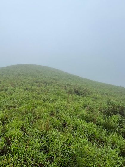The view of a green hill completely covered in mist. This is the typical weather we experience on our monsoon treks.