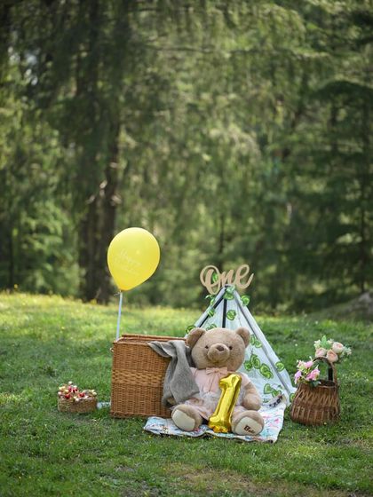 First Birthday Adventures: Outdoor Cake Smash photo 9