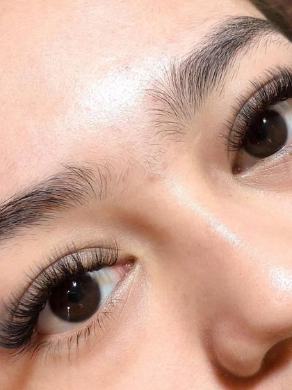 The Palette - Eyelash Extensions Volume Lashes: For Maximum Drama photo 7