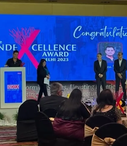 Receiving the IndeXcellence Award on stage. These moments are a wonderful recognition of the hard work and passion that goes into every project.