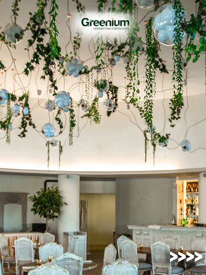 Greenium - Interior Plantscaping & Decor Outdoor Living: Balconies, Terraces & Backyards photo 29