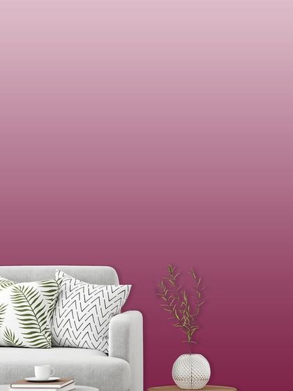 Our Signature Collections photo 51