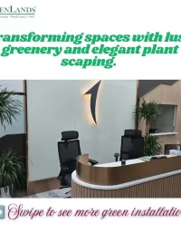 Commercial Greenscaping & Plant Services