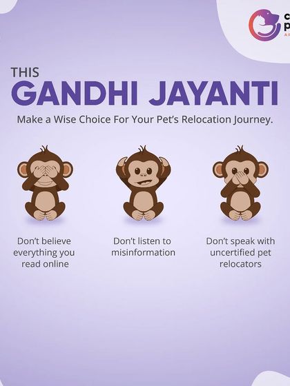 CarryMyPet - Pet Travel & Parenting Consultation The Heart of a Pet Parent photo 46