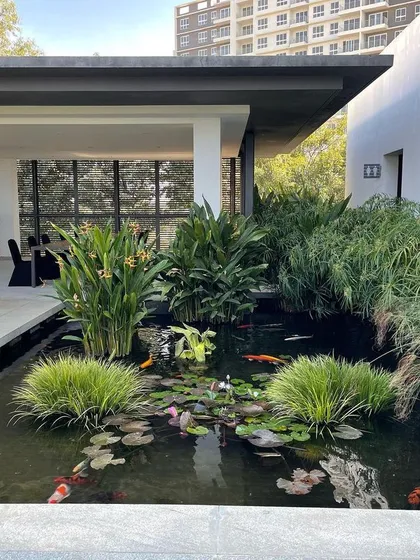 I designed this tranquil koi pond for a luxury property, focusing on creating a serene escape. The design incorporates aquatic plants like water lilies and marginal grasses to build a natural ecosystem, while the clear water and carefully selected koi fish provide a calming focal point for residents and visitors.