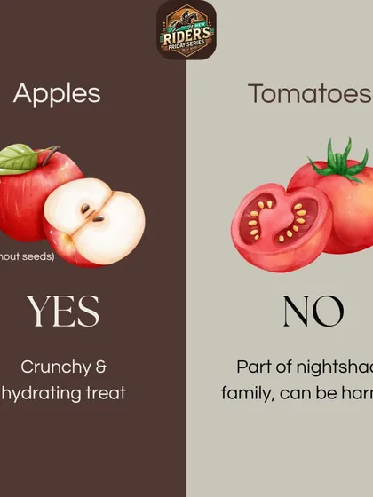 Apples without seeds are a crunchy, hydrating treat that most horses love. Tomatoes, however, are part of the nightshade family and can be harmful to horses.