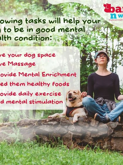 Your dog's mental health is just as important as their physical health. Providing mental enrichment, exercise, and a sense of security are key components of our holistic approach to dog care and training.