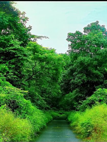 Landscapes & Lifeblood: The Power of Water photo 9